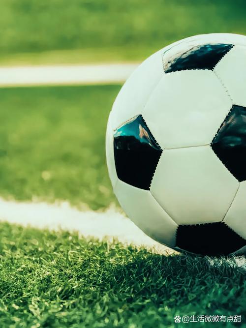 移动端随时查询场景