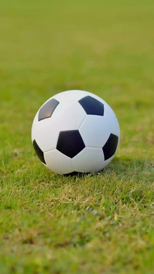 免费下载任选九场开奖结果任9开奖查询工具